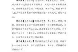 商务部：电子商务平台应制定一次性塑料制品减量替代规则图片
