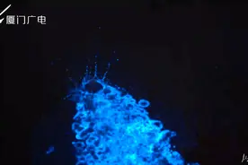 梦幻 厦门惊现​“蓝眼泪”奇观，原来是因为气温 本周最高温持续30+℃！图片