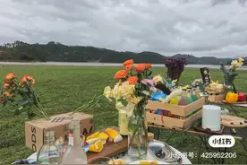 称霸阳春朋友圈的野餐圣地，节假日“几百台”小车涌入图片