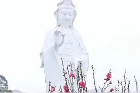 「封关这一年，山都爬遍了」……图片