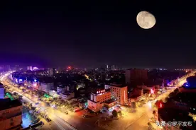 深夜的树影图片