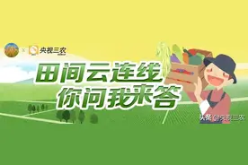 我怀疑你根本不了解番茄，并且我有证据！图片