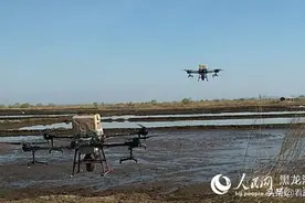 「齐齐哈尔关注」复工复产看龙江｜农业大省春耕记图片