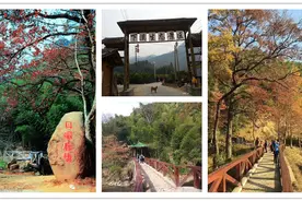 从化溪头村一日游精华线路攻略，逛古村徒步登山，让游玩更深度图片