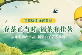 春茶正当时｜想喝福鼎白茶 这三个品牌你一定不能错过！图片