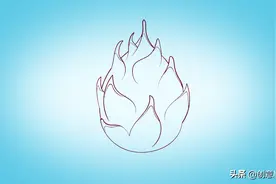 简笔画：火龙果图片
