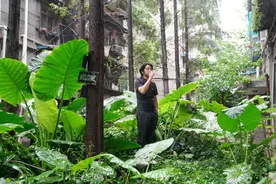 四川小伙默默无闻7年，靠一只盘子走红：我要让每道菜都有中国魂图片