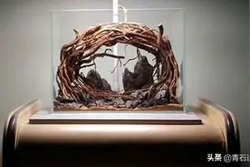 鱼缸造景—草缸骨架图片