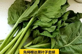 根达菜，在我们河南经常吃的一道菜，特好吃，这是其中一种做法图片