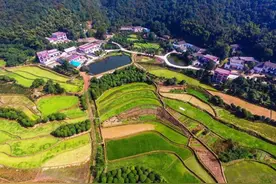美丽乡愁|乡村绿化美化连载：湖南•七星村图片