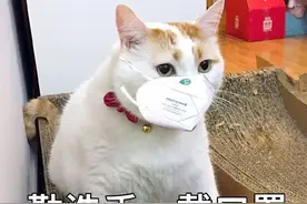 戴了不舒服，不戴又不安全，哈哈哈哈哈这就是我们戴口罩的感觉！图片