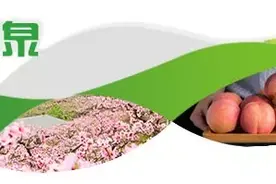 成都至乐山至峨眉山等25条城际铁路打折了！图片