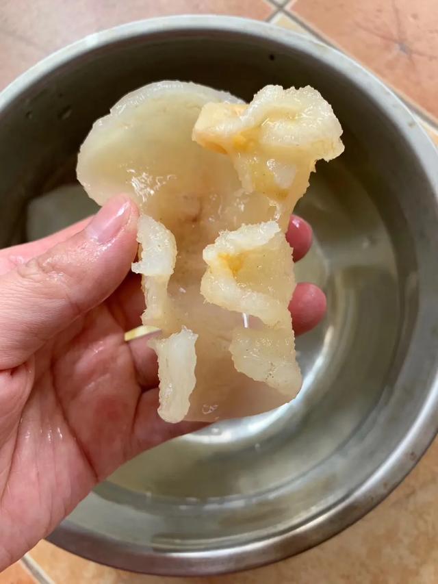 蝴蝶胶怎么泡发 2026年蝴蝶胶怎么泡发快 蝴蝶胶怎么泡发 2026年蝴蝶胶怎么泡发快