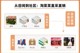 让“蒜你狠”“姜你军”成为过去！淘菜菜急调500万斤平价菜稳价保供图片