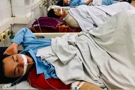 越南一家9口吃癞蛤蟆产下的卵，导致食物中毒，导致7伤1死图片