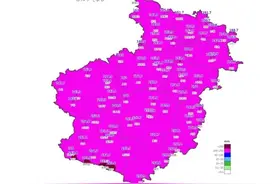 洛阳的雨已经下“紫”了……图片