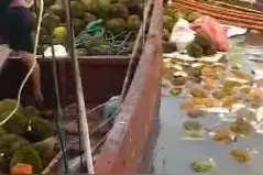 广西疾控通报村民吃哄抢榴莲食物中毒：系感染副溶血性弧菌图片