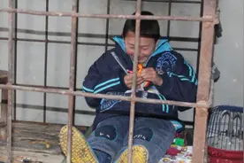 12岁男孩成“破坏之王”，父亲将他关入铁笼，每日与板凳为伴图片