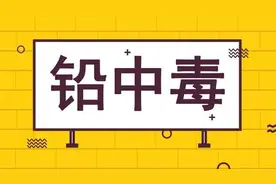 铅中毒的危害以及益生菌的可能保护作用图片