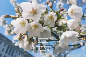 颜值爆表的河南高校！四季"四副面孔"，在这上学也太幸福！图片