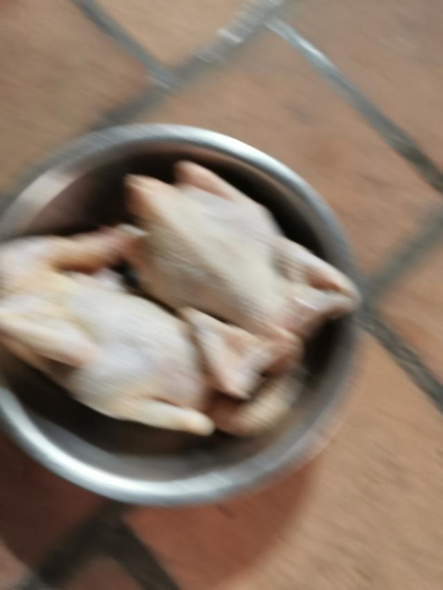鱼翅花胶响螺汤怎么做 2026年花胶鱼翅响螺片正确做法视频 鱼翅花胶响螺汤怎么做 2026年花胶鱼翅响螺片正确做法视频