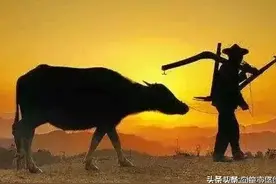 父亲的风雨人生图片