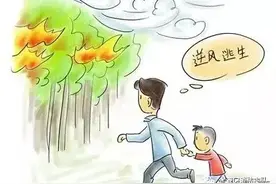 银川消防小课堂：野外火灾危害及逃生图片