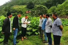 景东整岗提薪 村干部吃下“定薪丸”图片