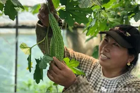 约吗？采摘正当时，这里的有机蔬菜“拍了拍”你……图片