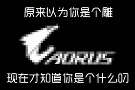 从“大雕”变成“大叼”，技嘉靠的是什么？图片
