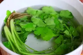 香菜根别扔了，奶奶教你一个祖传绝招，可以解决很多人的困扰图片