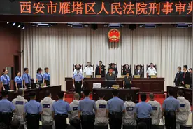 刚刚！长期把持基层政权，称霸一方！西安雁塔一涉黑组织被判刑图片