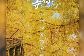 我在云南，等风也等你图片