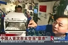 种菜，真是中国人的天赋？图片
