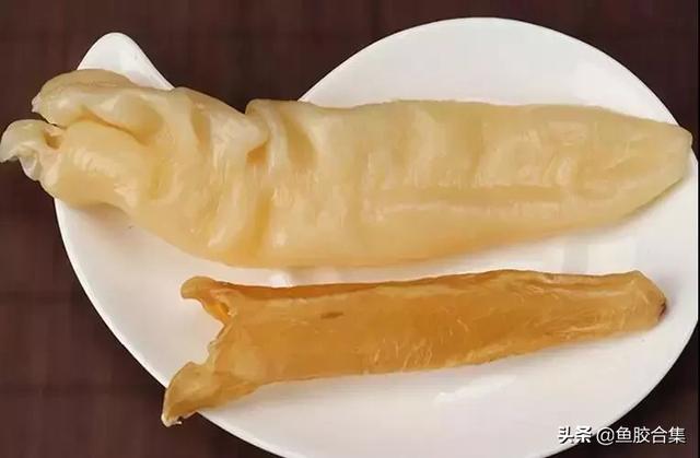 花胶泡发错误 2026年花胶泡发后怎么处理 花胶泡发错误 2026年花胶泡发后怎么处理