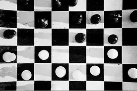 战胜围棋冠军李世石的阿尔法狗，是只什么“狗”？图片