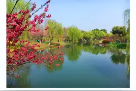 视觉江苏之十六——常州：寻梦桃花源，在6000年圩墩上“赏桃花”图片