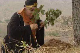 猪八戒打不过牛魔王，为何找玉面狐狸撒气？你看他打死过谁图片