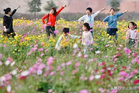 最新数据！去年衡阳常住人口达730.06万人图片