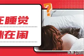 猫咪总是打扰我睡觉怎么办？2步让你呼呼大睡到天明图片
