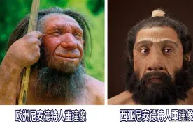 地球上相似的物种那么多，人类为什么只剩下我们这一种？图片