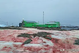 什么情况？南极“流血”了！专家最新回应：不确定和全球变暖有关图片