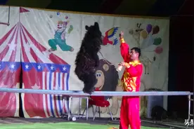 本溪县“杂技美食游乐嘉年华”马戏表演图片