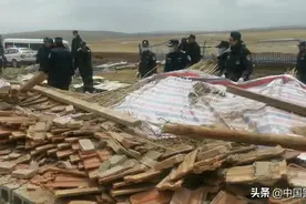 群众牛羊棚倒塌，民警现场救援图片