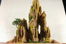 山水盆景的造型图片