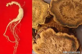 “人参杀人人不知，大黄救人人不用”这是什么意思？一文告诉你图片