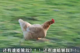 进校985出门变专科，大学生也会被“叫家长”后，好日子真到头了图片