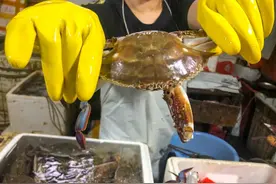 长三角这些美丽安静的渔村，你去过几个？图片
