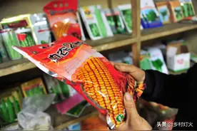 “不得留种”的背后，是种子公司的“阴谋”还是真的为农民着想？图片