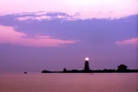 云赏鸥，又见海上小精灵！| 云上春游看齐鲁图片